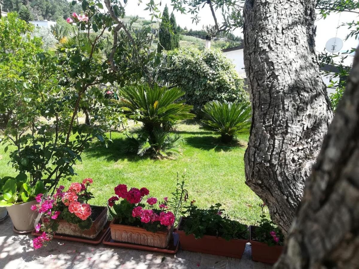 Il Corbezzolo Villa Matera Bagian luar foto